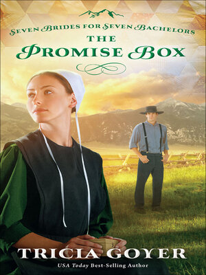 cover image of The Promise Box